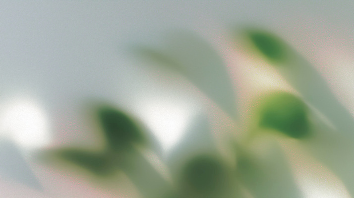 JPG 식물 컬러 잎 일러스트 자연 생명 나뭇잎 실내 따뜻함 사랑 초록색 환경 농사 공간 흐름 성장 광선 신선 원예 향기 감성 국내일러스트 AI일러스트 AI콘텐츠 감정 컨셉 농업 취미 내부 생태계 냄새 파일형식