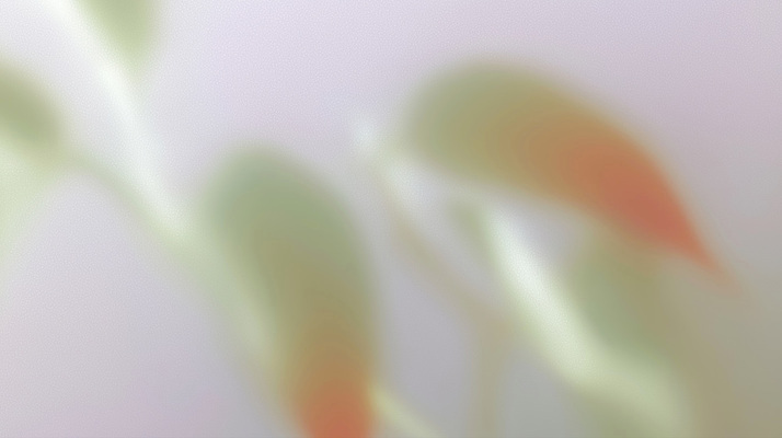 JPG 나무 식물 시선 컬러 잎 일러스트 자연 하늘 생명 나뭇잎 풍경 초록색 햇빛 환경 흐름 성장 신선 부드러움 화사함 감성 뷰티풀 초봄 국내일러스트 AI일러스트 AI콘텐츠 컨셉 태양 봄 감각 생태계 파일형식