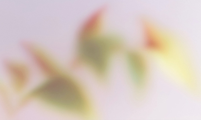 JPG 모양 식물 꽃 여유 예술 컬러 백그라운드 잎 일러스트 자연 생명 나뭇잎 풍경 초록색 환경 흐름 부드러움 감성 조화 뷰티풀 색감 국내일러스트 AI일러스트 AI콘텐츠 감정 컨셉 감각 생태계 파일형식