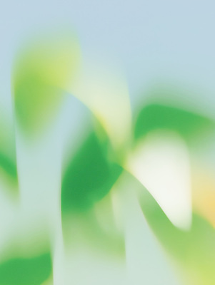 JPG 나무 식물 여유 잎 일러스트 자연 하늘 생명 나뭇잎 풍경 일상 초록색 여름 평화 맑음 촬영 흐름 감성 조화 뷰티풀 색감 국내일러스트 AI일러스트 AI콘텐츠 계절 감정 컬러 컨셉 날씨 라이프 생태계 파일형식