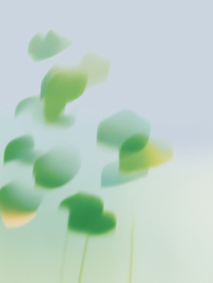 JPG 식물 여유 잎 일러스트 자연 하늘 생명 바람 나뭇잎 풍경 초록색 물 평화 환경 흐름 대기 연못 수중식물 연습 감성 뷰티풀 국내일러스트 AI일러스트 AI콘텐츠 자연요소 감정 컬러 컨셉 날씨 생태계 파일형식