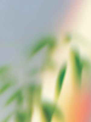 JPG 행복 화초 거실 일러스트 자연 생명 휴식 나뭇잎 조명 초록색 평화 환경 정원 흐름 편안함 감성 생활공간 국내일러스트 AI일러스트 AI콘텐츠 식물 감정 컬러 컨셉 잎 감각 생태계 파일형식