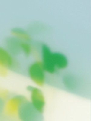 JPG 나무 식물 잎 일러스트 자연 생명 휴식 나뭇잎 풍경 야외 초록색 여름 반짝임 햇빛 평화 산책 흐름 에너지 신선 감성 조화 뷰티풀 국내일러스트 AI일러스트 AI콘텐츠 계절 컬러 컨셉 모션 태양 생태계 파일형식