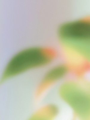 JPG 모양 식물 여유 잎 일러스트 자연 생명 나뭇잎 건강 야외 초록색 빛 환경 흐름 성장 관찰 변화 편안함 원예 감성 조화 뷰티풀 색감 생동감 국내일러스트 AI일러스트 AI콘텐츠 감정 컬러 컨셉 모션 취미 감각 생태계 파일형식