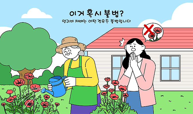 식물 여자 남자 꽃 감정 화초 컬러 꽃밭 일러스트 모션 자연 날씨 일상 평화 귀여움 정원 농사 놀람 즐거움 물주기 불법 환상 국내일러스트 AI파일 컨셉 농업 표정 사람 라이프 범죄 생태계 파일형식 벡터