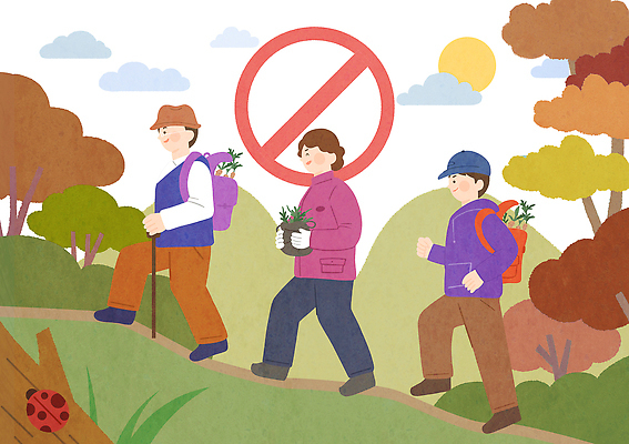 PSD 식물 기호 여유 일러스트 배낭 가족 모션 자연 산 풍경 초원 여러명 야외 친구 환경 산책 하이킹 탐험 보호 수집 언덕 주말 불법 국내일러스트 임산물 문자 감정 다수 컨셉 가방 관계 레저 휴식 사람 범죄 생태계 파일형식