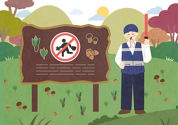 식물 직업 길 컨셉 모션 안전 풍경 라이프 범죄 생태계 파일형식 숲 버섯 경비원 알림판 자연 보안 나무 꽃 장면 일상 경관 환경 규칙 경고 산책로 보호 관찰 일러스트 국내일러스트 PSD 수집 불법 임산물