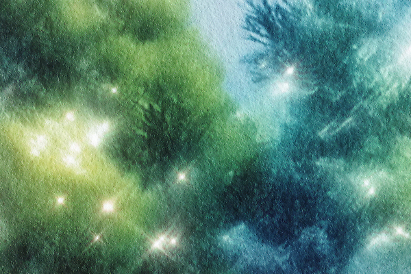 JPG 바다 컬러 일러스트 자연 생명 조명 초록색 빛 반짝임 환경 계곡 심해 수중 수중식물 해조류 신비 청록색 조용 국내일러스트 AI일러스트 AI콘텐츠 식물 컨셉 모션 바닷속 해양식물 생태계 파일형식