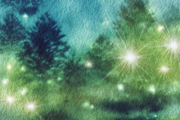 JPG 나무 감정 컬러 일러스트 자연 하늘 풍경 빛 평화 환경 어둠 숲 신비 조용 조화 별빛 뷰티풀 국내일러스트 AI일러스트 AI콘텐츠 식물 별 컨셉 생태계 파일형식