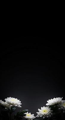 JPG 식물 편집이미지 꽃 화초 컬러 자연 생명 조명 국화 장식 정원 준비 화사함 조화 뷰티풀 추모 편집실사 AI포토 AI콘텐츠 컨셉 CG 생태계 파일형식