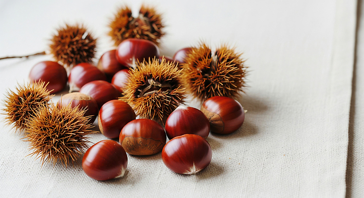 JPG 편집이미지 컬러 재료 자연 탁자 디저트 건강 농작물 식사 신선 밤 배열 질감 편집실사 AI포토 AI콘텐츠 음식 가구 농업 견과류 CG 생태계 파일형식