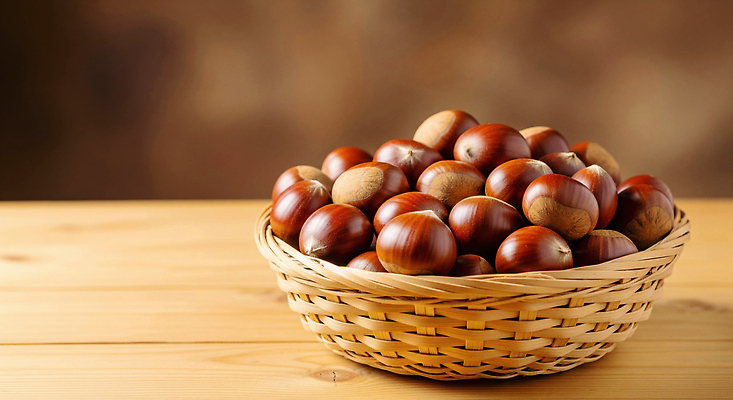 JPG 나무 편집이미지 식재료 재료 가족 자연 탁자 디저트 건강 요리 바구니 도자기 밤 숲 편집실사 AI포토 AI콘텐츠 식물 음식 가구 관계 견과류 CG 생태계 파일형식