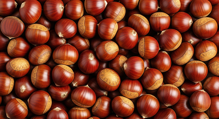 JPG 편집이미지 전통 음식 과일 재료 자연 디저트 건강 요리 수확 밤 풍요 편집실사 AI포토 AI콘텐츠 컨셉 농업 견과류 CG 생태계 파일형식