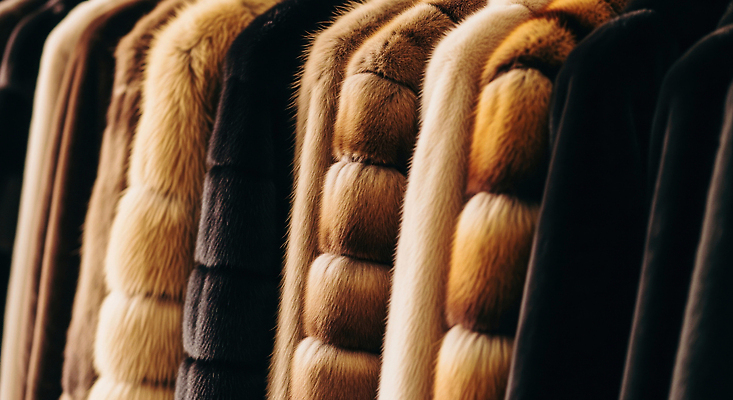 JPG 편집이미지 옷 패션 컬러 겨울 아침 전시 옷걸이 준비 질감 겨울옷 부드러움 스타일 편집실사 AI포토 AI콘텐츠 주간 계절 감각 CG 파일형식