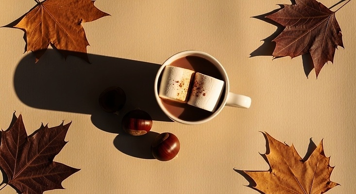 JPG 편집이미지 커피 음료 단풍 잎 자연 탁자 디저트 따뜻함 가을풍경 초콜릿 가을 마시멜로우 편집실사 AI포토 AI콘텐츠 식물 계절 음식 가구 풍경 CG 생태계 파일형식 가을_계절