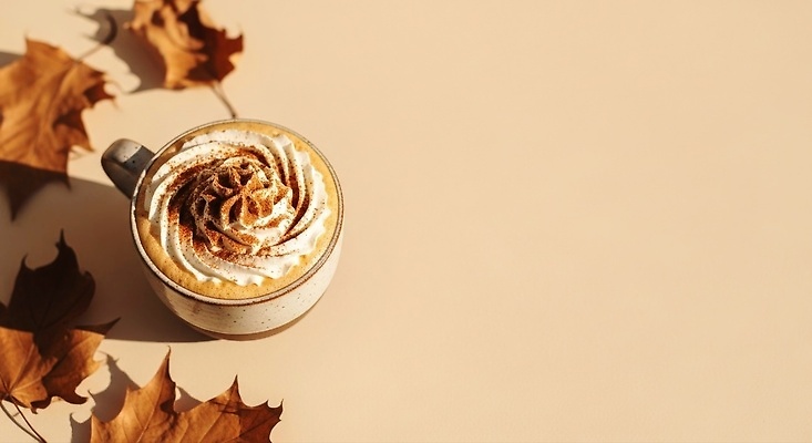 JPG 편집이미지 커피 음료 음식 단풍 낙엽 탁자 나뭇잎 따뜻함 일상 갈색 카페 가을 편안함 크림 카푸치노 시나몬 편집실사 AI포토 AI콘텐츠 계절 컬러 가구 잎 라이프 상점 감각 CG 파일형식