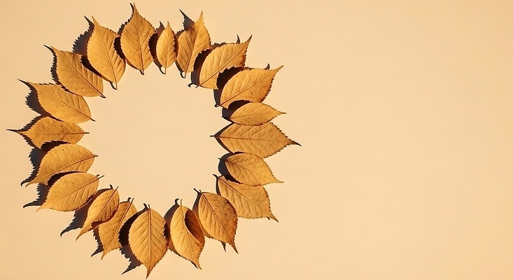 JPG 편집이미지 계절 예술 컬러 백그라운드 잎 자연 장식 노란색 원형 배열 부드러움 조화 뷰티풀 편집실사 AI포토 AI콘텐츠 도형 식물 감각 CG 생태계 파일형식