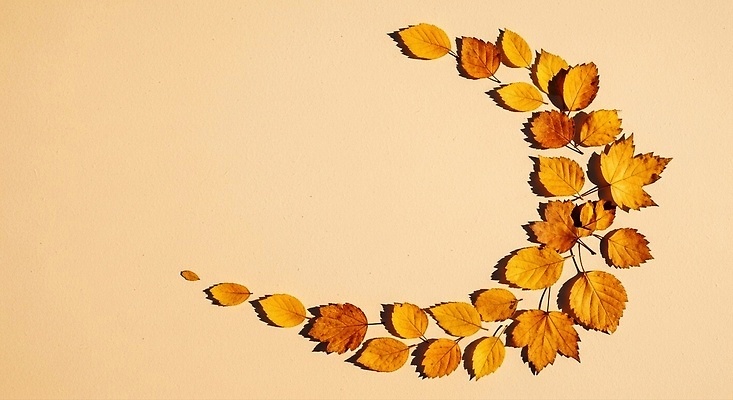 JPG 모양 편집이미지 디자인 계절 예술 컬러 낙엽 자연 달 분위기 배열 오브젝트 뷰티풀 창의성 창작 편집실사 AI포토 AI콘텐츠 자연요소 컨셉 잎 CG 생태계 파일형식