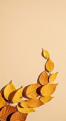 JPG 식물 편집이미지 컬러 백그라운드 잎 패턴 자연 장식 고요 심플 조화 단순화된 뷰티풀 편집실사 AI포토 AI콘텐츠 무늬 CG 생태계 파일형식