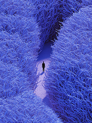 JPG 모양 나무 편집이미지 계절 길 컬러 자연 사람 풍경 평화 환경 정원 산책 탐험 숲 신비 이미지편집 AI컴퓨터그래픽 AI콘텐츠 식물 컨셉 휴식 생태계 파일형식