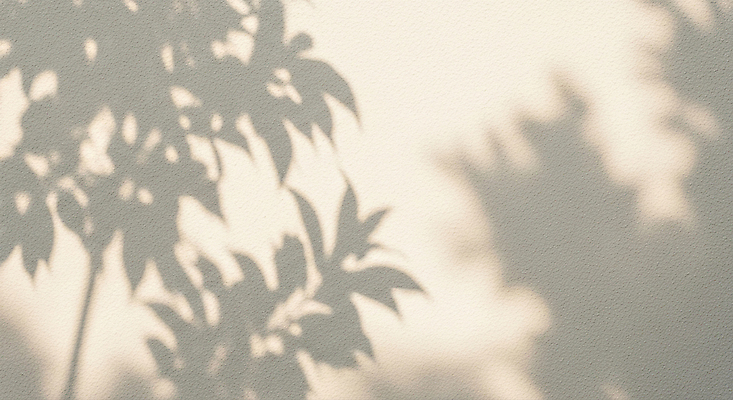 JPG 모양 편집이미지 벽 컬러 패턴 자연 나뭇잎 그림자 햇빛 고요 시간 비교 분위기 부드러움 조화 오후 편집실사 AI포토 AI콘텐츠 컨셉 잎 무늬 태양 감각 CG 생태계 파일형식