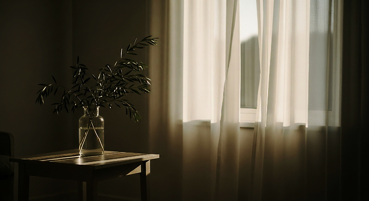 JPG 식물 편집이미지 여유 장식 인테리어 햇빛 평화 꽃병 방 빈티지 커튼 편안함 창가 나무탁자 편집실사 AI포토 AI콘텐츠 디자인 꽃 감정 컨셉 창문 탁자 태양 감각 CG 파일형식
