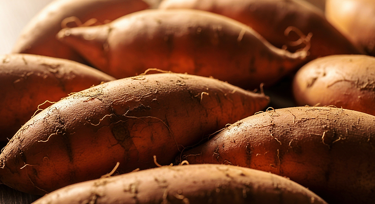 JPG 편집이미지 음식 채소 재료 자연 식탁 건강 농장 식사 맛 준비 유기농 고구마 제철 편집실사 AI포토 AI콘텐츠 웰빙 컨셉 농업 탁자 뿌리채소 CG 생태계 파일형식