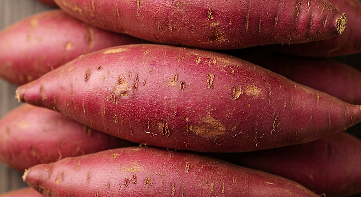 JPG 편집이미지 음식 채소 자연 여름 농작물 농사 식사 수확 신선 시장 선택 구매 고구마 편집실사 AI포토 AI콘텐츠 계절 컨셉 농업 뿌리채소 쇼핑 CG 생태계 파일형식