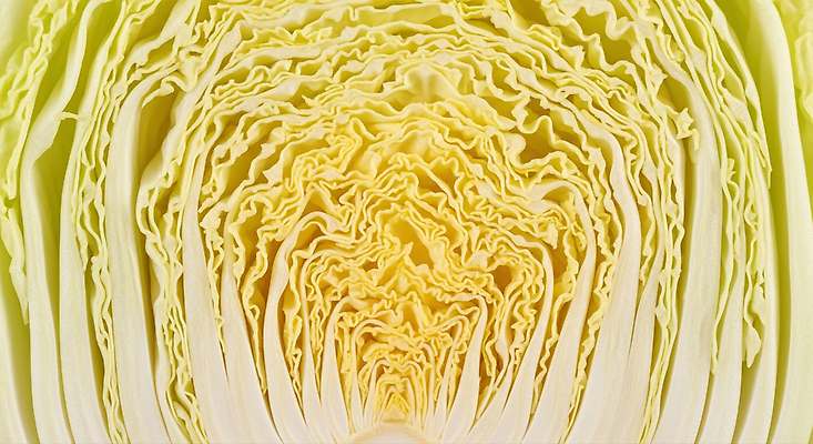 JPG 편집이미지 음식 다이어트 채소 자연 건강 요리 농작물 농사 식사 신선 배추 신선도 편집실사 AI포토 AI콘텐츠 농업 CG 생태계 파일형식