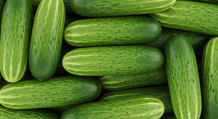 JPG 편집이미지 음식 채소 디저트 오이 건강 요리 초록색 농작물 농사 신선 시장 유기농 비타민 신선도 편집실사 AI포토 AI콘텐츠 웰빙 컬러 농업 CG 영양소 파일형식