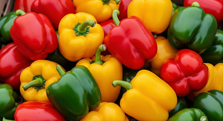 JPG 편집이미지 컬러 채소 피망 파프리카 건강 요리 빨간색 초록색 농작물 노란색 농사 식사 신선 시장 비타민 편집실사 AI포토 AI콘텐츠 농업 CG 영양소 파일형식