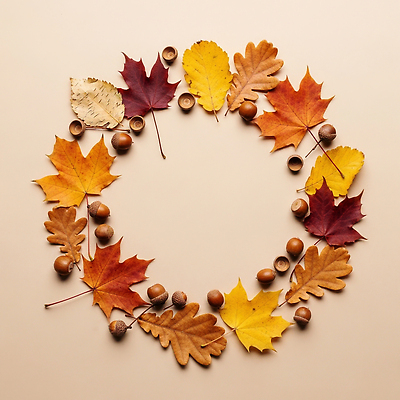 JPG 나무 편집이미지 디자인 계절 예술 컬러 자연 나뭇잎 장식 고요 가을 원형 육상스포츠 도토리 뷰티풀 편집실사 AI포토 AI콘텐츠 도형 식물 스포츠 잎 견과류 CG 생태계 파일형식