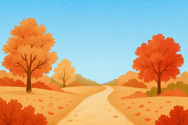 JPG 나무 사계절 길 컬러 단풍 잎 일러스트 자연 하늘 휴식 풍경 평화 일출 일몰 산책 금색 오솔길 뷰티풀 국내일러스트 AI일러스트 AI콘텐츠 식물 계절 컨셉 노을 생태계 파일형식