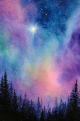 JPG 나무 별 컬러 일러스트 자연 밤하늘 수채화 미술 풍경 빛 우주 어둠 별자리 화려 숲 별빛 뷰티풀 국내일러스트 AI일러스트 AI콘텐츠 자연요소 식물 컨셉 하늘 문화예술 야간 생태계 파일형식