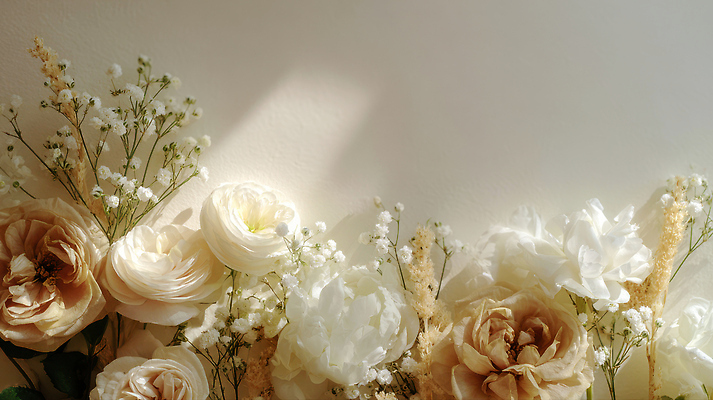 JPG 편집이미지 꽃잎 꽃 감정 백그라운드 자연 장식 빛 평화 편안함 배열 부드러움 조화 뷰티풀 편집실사 AI포토 AI콘텐츠 식물 컨셉 감각 CG 생태계 파일형식