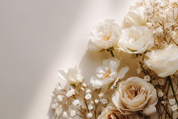 JPG 식물 편집이미지 디자인 꽃잎 꽃 화초 꽃다발 백그라운드 자연 장식 장미 흰색 신선 편안함 뷰티풀 편집실사 AI포토 AI콘텐츠 컬러 감각 CG 생태계 파일형식