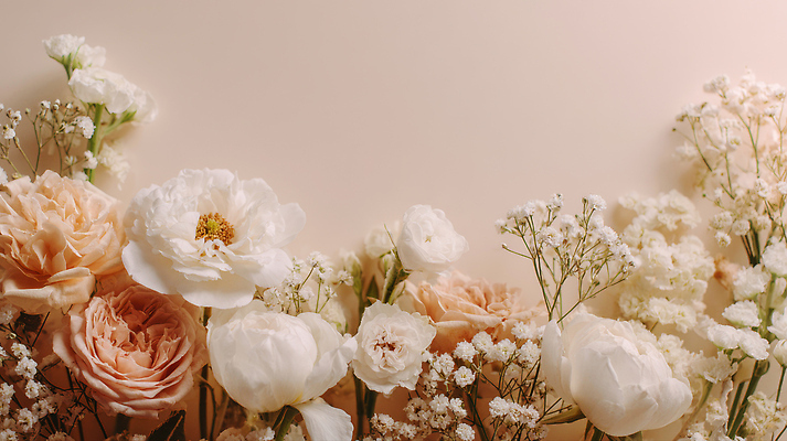 JPG 편집이미지 디자인 꽃 컬러 백그라운드 자연 생명 벽면 일상 장식 부드러움 화사함 조화 걸이 뷰티풀 편집실사 AI포토 AI콘텐츠 식물 벽 컨셉 라이프 감각 CG 생태계 파일형식