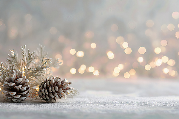 JPG 편집이미지 백그라운드 크리스마스 겨울 자연 조명 실내 따뜻함 풍경 장식 평화 소나무 분위기 오브젝트 솔방울 편집실사 나무 계절 기념일 컨셉 내부 CG 생태계 파일형식