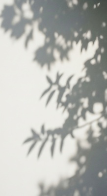 JPG 모양 나무 편집이미지 벽 컬러 잎 패턴 자연 실내 그림자 여름 빛 햇빛 평화 고요 오후 편집실사 AI포토 AI콘텐츠 식물 계절 컨셉 무늬 내부 태양 CG 생태계 파일형식