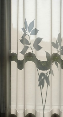 JPG 식물 편집이미지 디자인 실루엣 여유 창문 자연 휴식 실내 그림자 장식 빛 평화 커튼 분위기 부드러움 편집실사 AI포토 AI콘텐츠 감정 컨셉 촬영기법 내부 감각 CG 생태계 파일형식