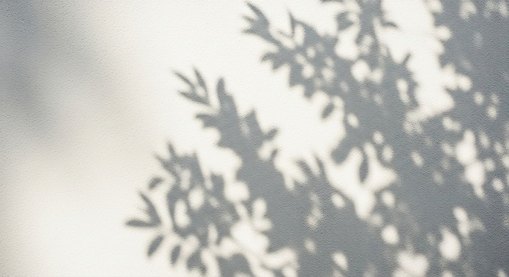 JPG 식물 편집이미지 백그라운드 자연 나뭇잎 그림자 야외 여름 빛 평화 촬영 시간 부드러움 조용 뷰티풀 순간 편집실사 AI포토 AI콘텐츠 계절 컨셉 잎 감각 CG 생태계 파일형식