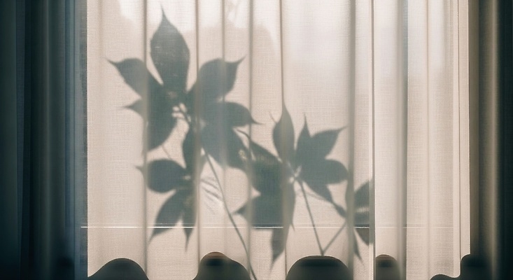 JPG 식물 편집이미지 창문 자연 아침 실내 따뜻함 그림자 빛 햇빛 평화 공간 방 커튼 분위기 소음 편집실사 AI포토 AI콘텐츠 주간 컨셉 내부 태양 소리 CG 생태계 파일형식