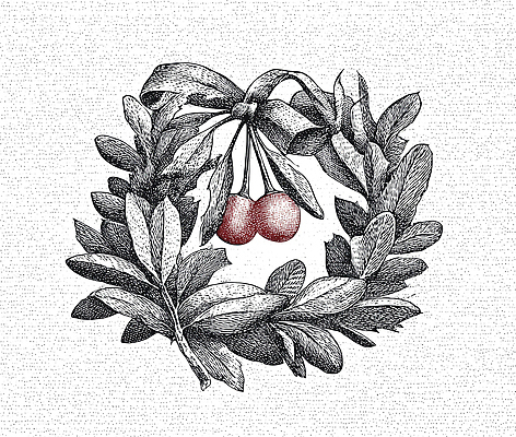 JPG 식물 전통 디자인 기념일 열매 예술 컬러 잎 겨울 일러스트 자연 장식 축제 화환 이탈리아 분위기 공예 브로치 겨우살이 뷰티풀 국내일러스트 계절 꽃 유럽 컨셉 장신구 이벤트 취미 생태계 파일형식