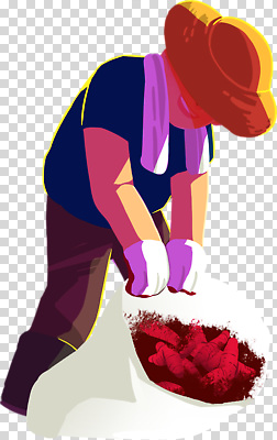 직업 계절 감정 컬러 농업 채소 라이프 시골 생태계 파일형식 농부 수확 농촌 농작물 빨간색 자연 고추 일상 작업 기쁨 일손 농사 식물 여름 편집이미지 PNG