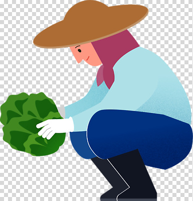 직업 농업 채소 시골 생태계 파일형식 농부 배추 수확 농사 농촌 소득 자연 작업 식물 농작물 땀 농기구 편집이미지 PNG