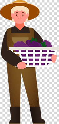 식물 직업 산업 컬러 농업 과일 위생용품 태양 수확 파일형식 농부 포도 농장 바구니 노동자 햇빛 신선 작업 비누 보라색 열매 수확철 편집이미지 PNG