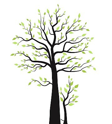 EPS 해외이미지 나무 식물 디자인 계절 실루엣 백그라운드 잎 패턴 일러스트 자연 추상 미술 풍경 장식 여름 환경 정원 검은색 봄 흰색 나뭇가지 숲 심볼 사인 싱글 그림 윤곽 뿌리 내추럴 고립 생태학 엘리먼트 옛날 해외202004 해외일러스트 교육 컬러 무늬 문화예술 촬영기법 생태계 파일형식 벡터