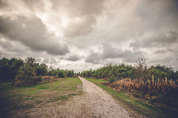 포토 JPG 해외이미지 나무 구름 계절 유럽 도로 길 여행 백그라운드 밭 농업 자국 자연 하늘 풍경 초원 사람없음 야외 초록색 여름 햇빛 농장 노란색 환경 계곡 맑음 하이킹 가을 시골 신선 숲 오솔길 땅 먼지 장면 내추럴 방법 선로 수평선 해외202004 해외포토 자연요소 식물 나라 산업 컬러 교통시설 레저 날씨 태양 생태계 파일형식