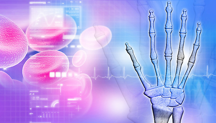 포토 JPG 해외이미지 손 분홍색 과학 일러스트 손가락 해부 뼈 골격 엑스레이 건강 사람 사람없음 그래픽 파란색 3D 손목 관절염 생물학 골다공증 요통 해외202004 해외포토 교육 컬러 의학 신체부위 질병 디지털합성 허리통증 파일형식