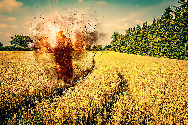 포토 JPG 해외이미지 밭 농업 자연 불 건조 서기 풍경 초원 사람없음 야외 농작물 농장 수확 추수 가을 보호 농부 밀 밀짚 밭일 호러 해외202004 해외포토 자연요소 직업 계절 산업 컨셉 모션 곡류 짚 생태계 공포 파일형식